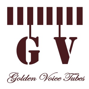 GV-MAIN PAGE